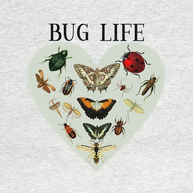 Entomology / Bug Lover /Entomologists / Bug Life by allthumbs